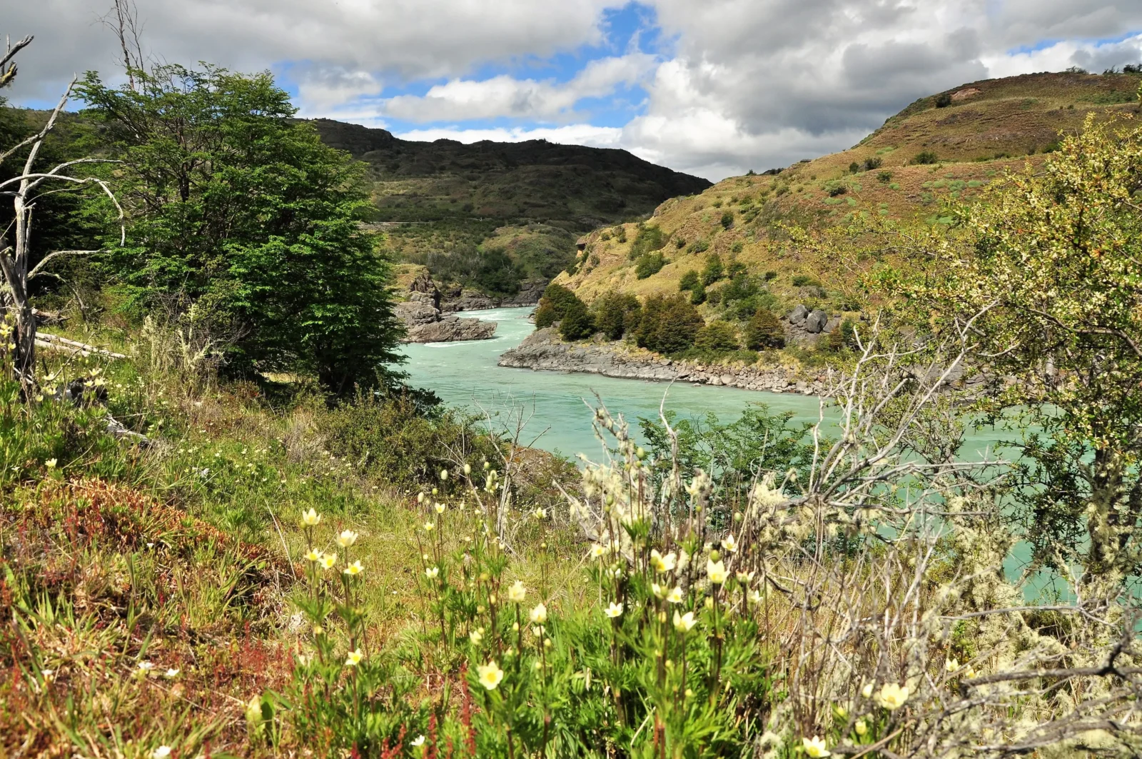 Baker River in the Carretera Austral, Patagonia