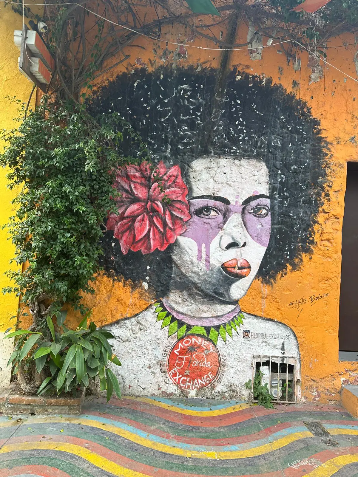 Experience the cultures of Latin America