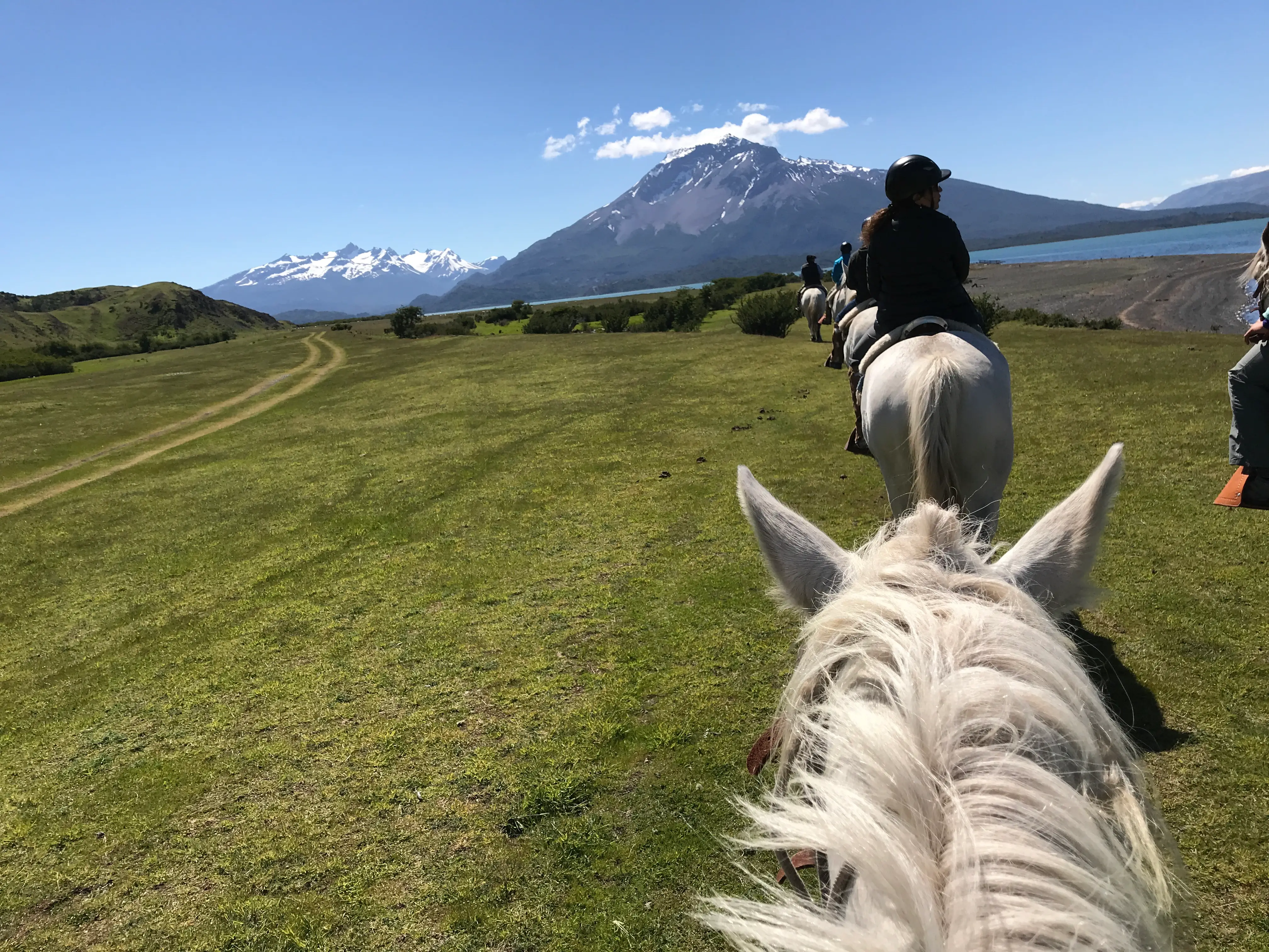 Go horse-riding in Torres del Paine, Patagonia