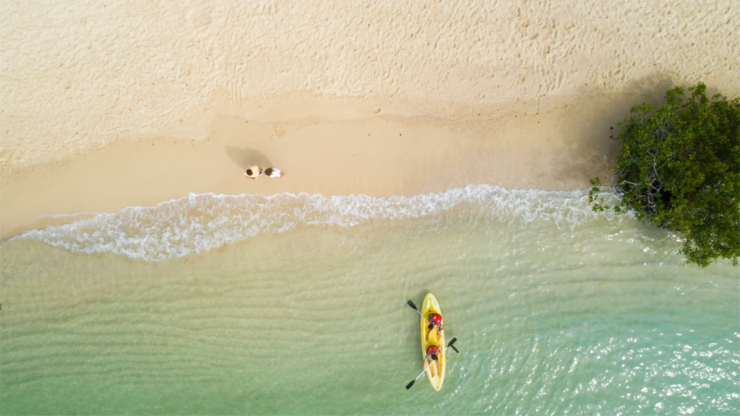Enjoy an amazing kayak safari looking for wildlife and marine life in the Galapagos Islands