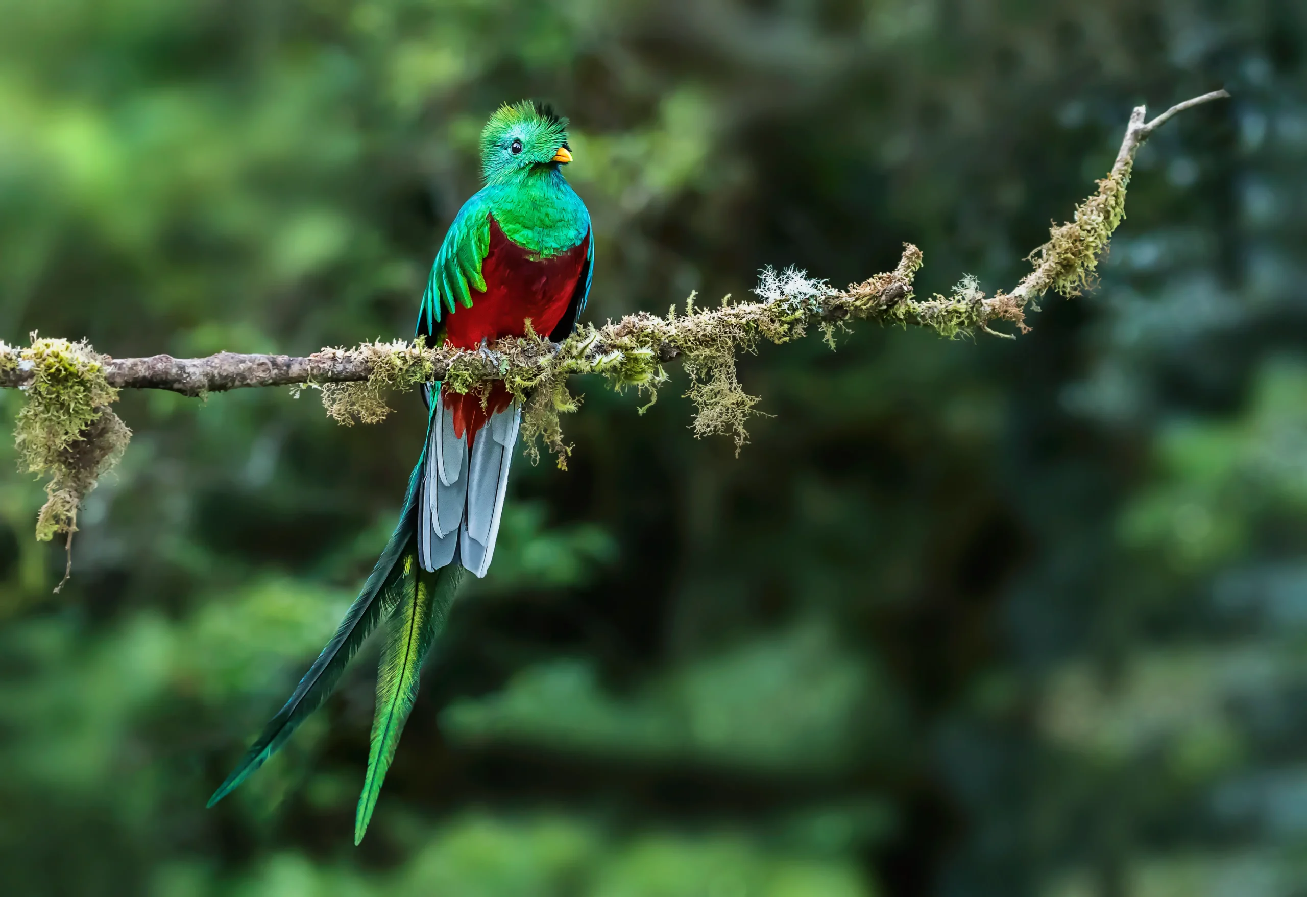 Wild and Beautiful Costa Rica