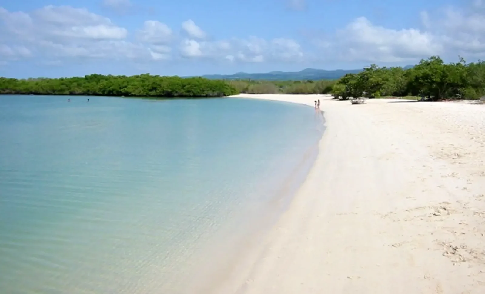 Explore Tortuga Bay in the Galapagos Islands