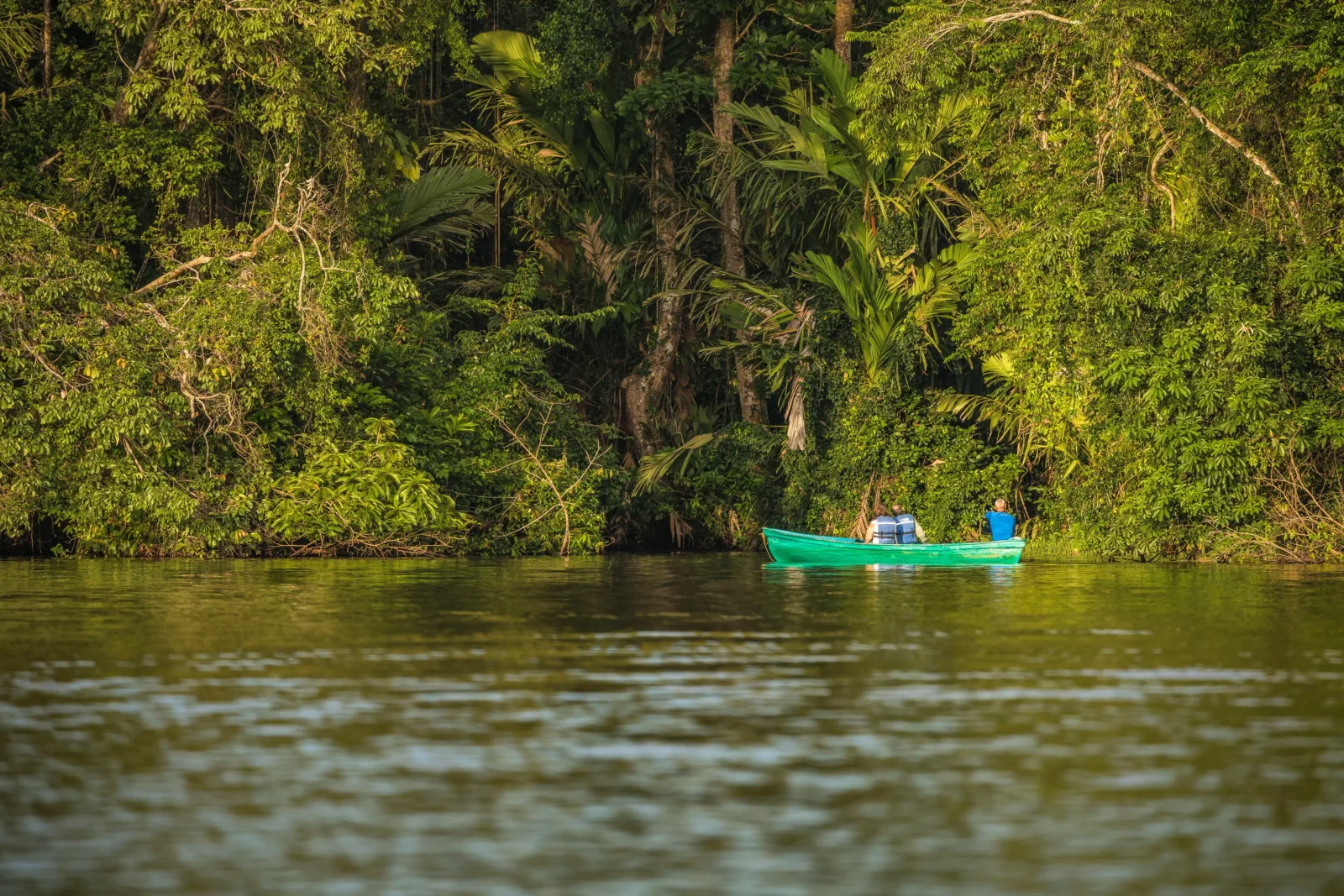 Kayak through the Tortuguero National Park, in Costa Rica