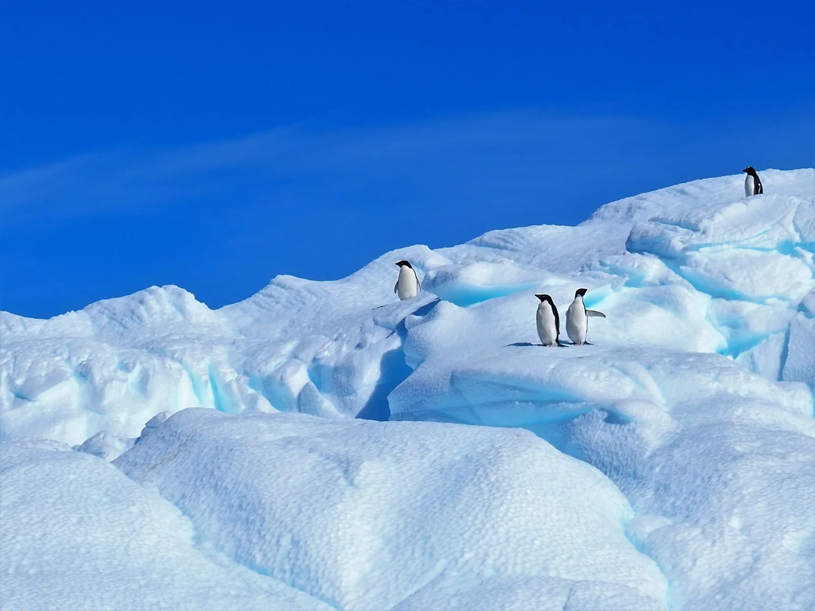 Protecting delicate and fragile eco-systems is one of our commitments to the planet, at Travel Differently