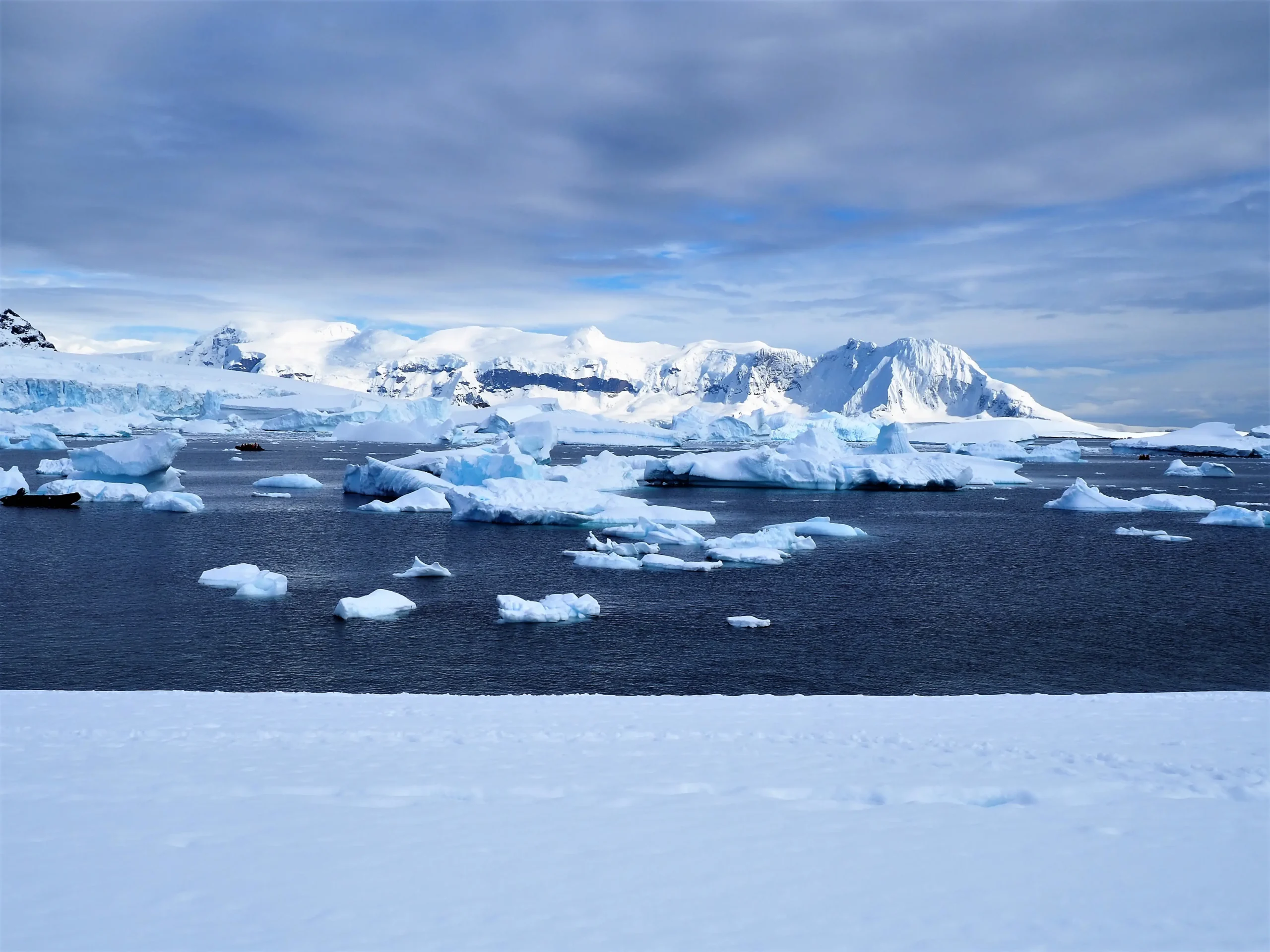 Our commitment to Tourism Declares, will strive to protect eco systems that are in increasing danger