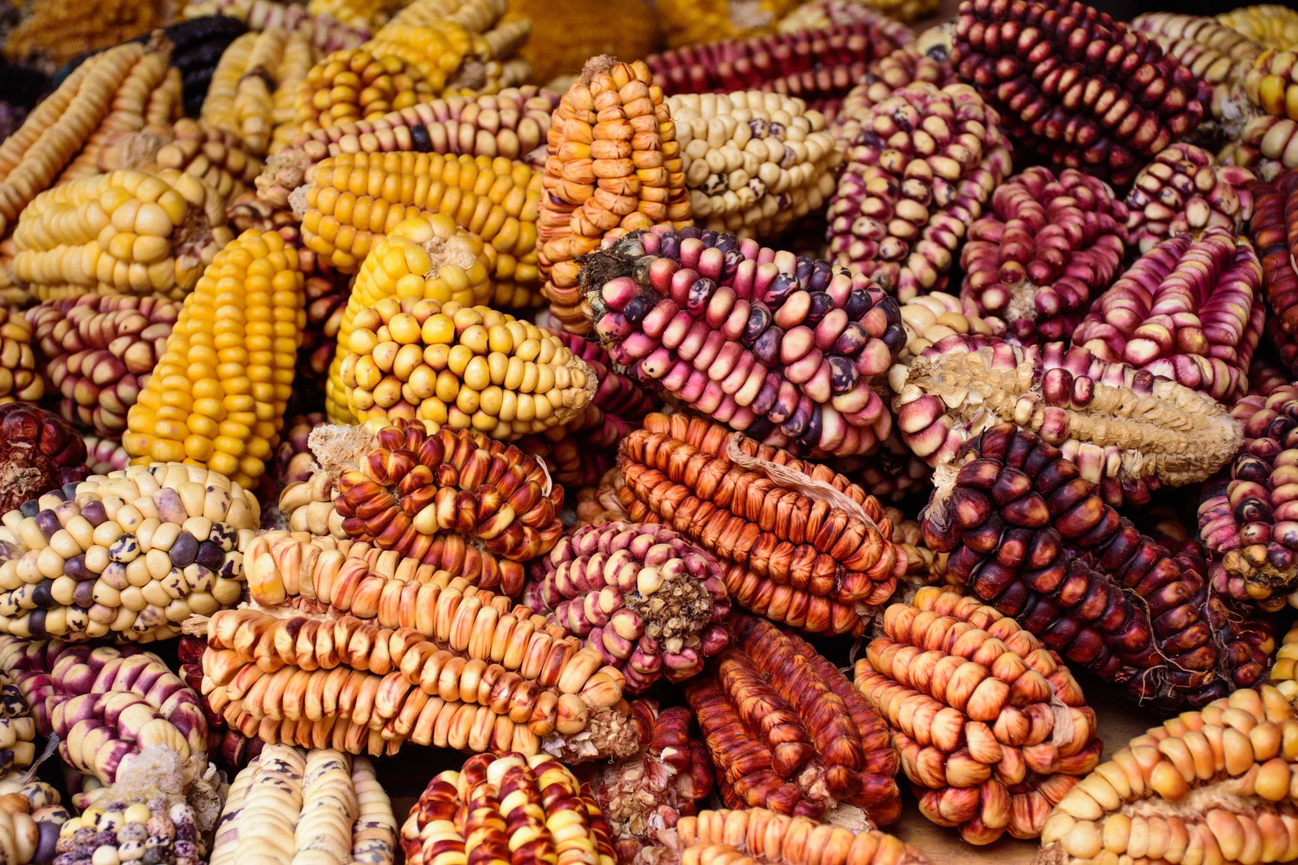 Sample some of the best food in Latin America on a holiday to Peru with Travel Differently