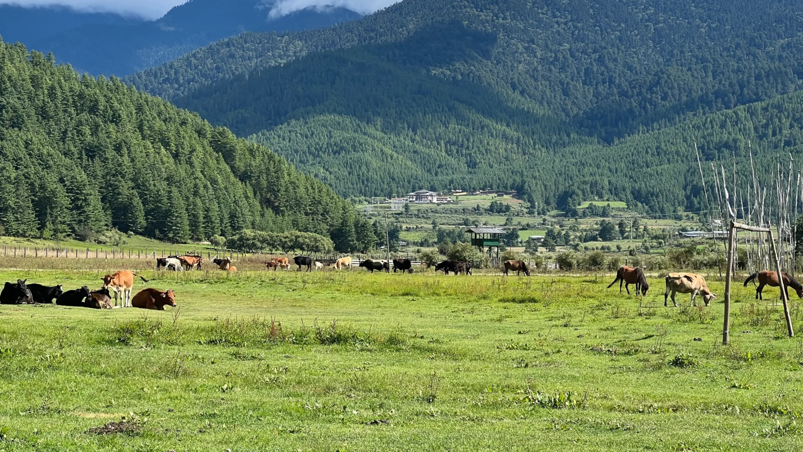 See sweeping valleys and yak herders on the Trans-Bhutan Trail Hike