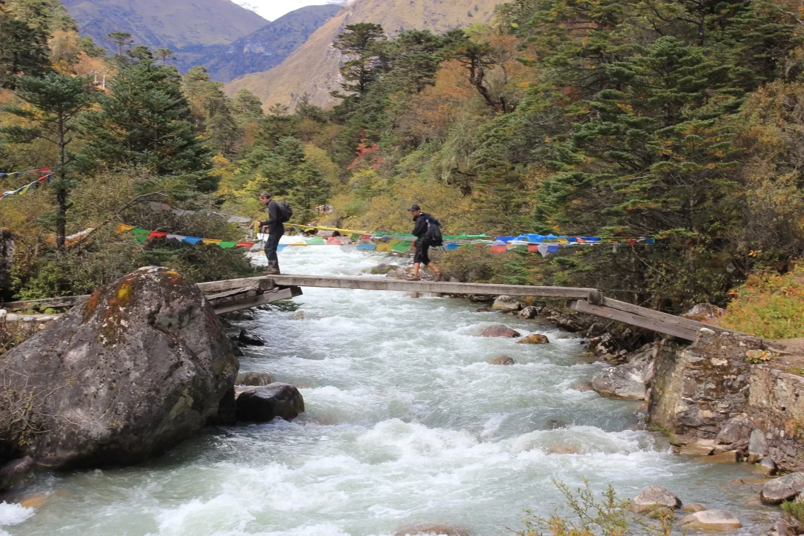 Start walking on day 1 of your multi-day trek in Bhutan, with full support team and private guides