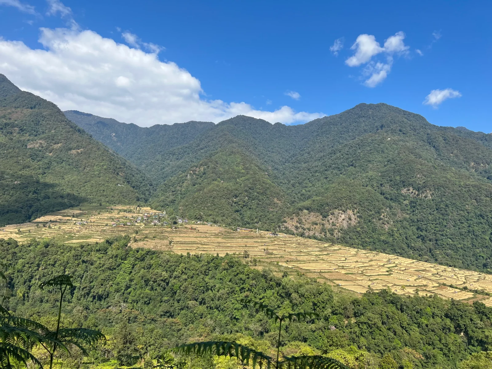 Experience the valleys of Bhutan on a hiking holiday