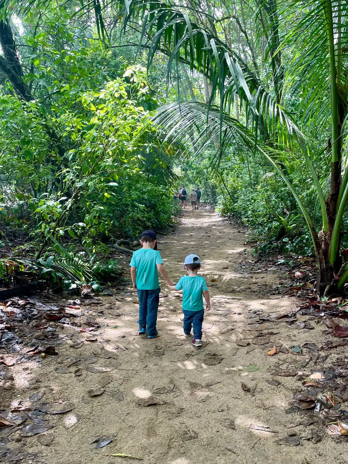 Exploring costa Rica on a family holiday with Travel Differently