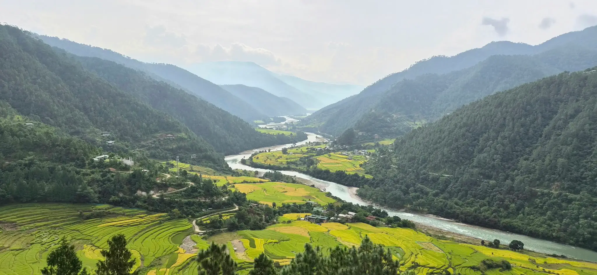 Views of the lush Punakha Valley in Bhutan